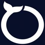 Software Orca Mobile app developers in Dallas