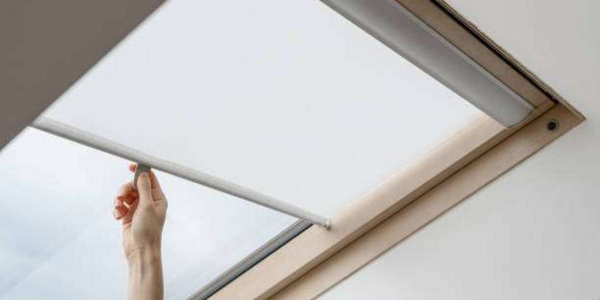 Modern Window Film Solutions for Style, Comfort, and Protection in Christchurch