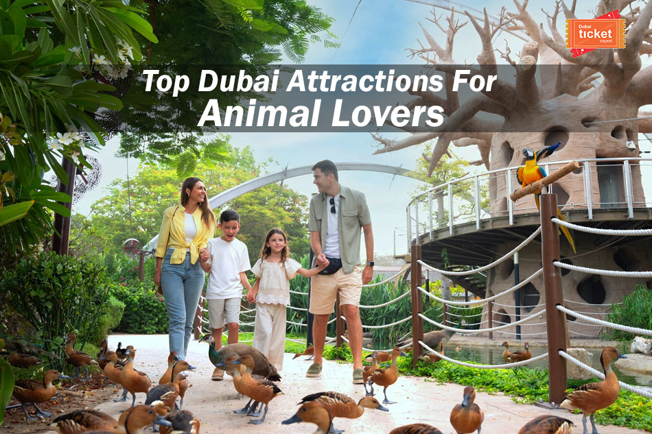 Must-Visit Dubai Attractions for Animal Lovers