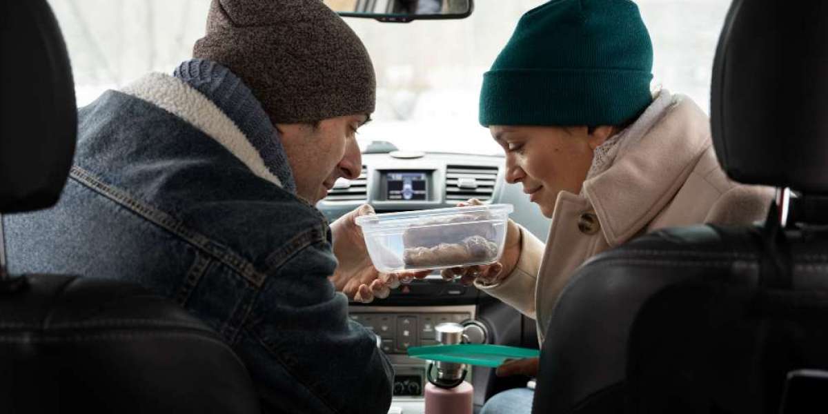 Trending Car Soundproofing with Multi-Layer Foam Solutions