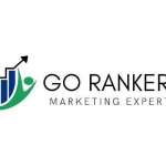 Go Rankers LLC