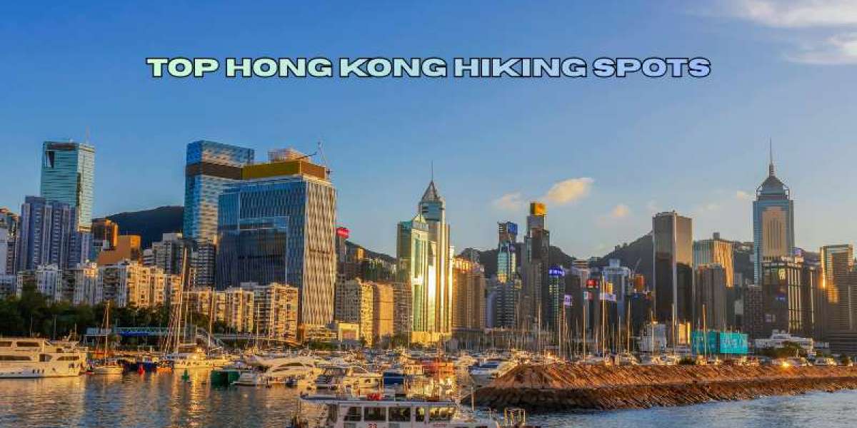 Top Hiking Trails in Hong Kong for Nature Lovers: A Complete Guide for UAE Travelers