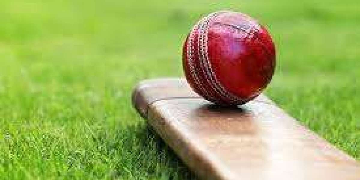 Hockey Match: Speed, Skill, and Team Spirit on the Field