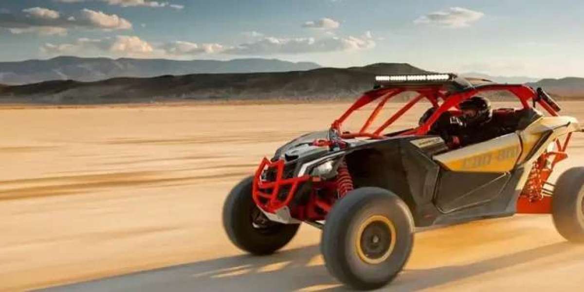 Thrill on Wheels: Expert Tips for Dune Buggy Reservations