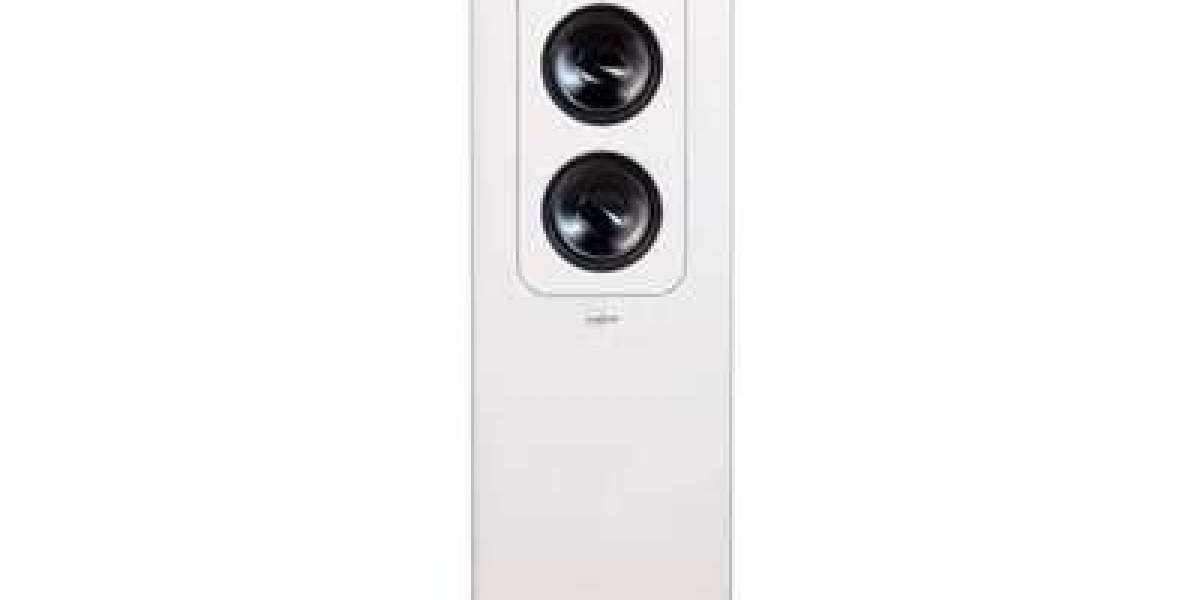 Lyngdorf Speakers with Deep Bass and Clear Detail
