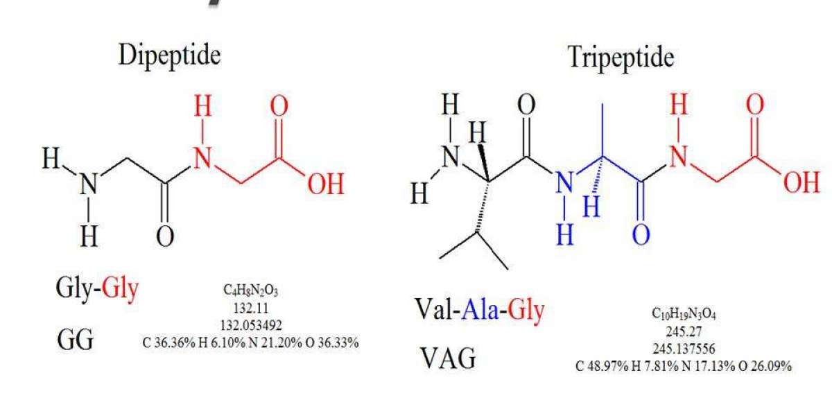Unlocking Youthful Skin Cutting Edge Biology Science Behind Skin Regeneration