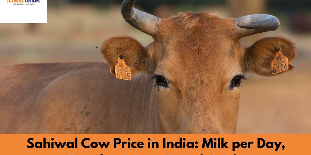 Sahiwal Cow Price in India – Milk per Day, Benefits & Pure Breed Guide