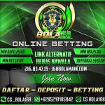bola168net