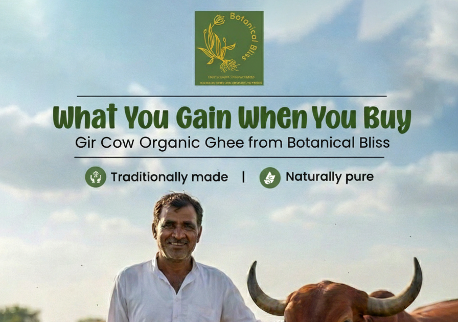 What You Gain When You Buy Gir Cow Organic Ghee from Botanical Bliss