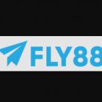 fly88 combiz