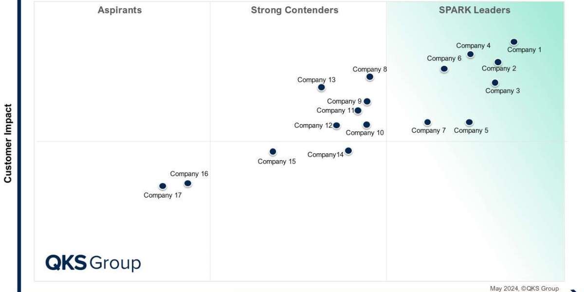 SPARK Matrix™ Q2 2024: Mapping the Competitive Landscape of Credit Risk Technology Solutions