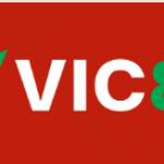 Nhà Đài VIC88