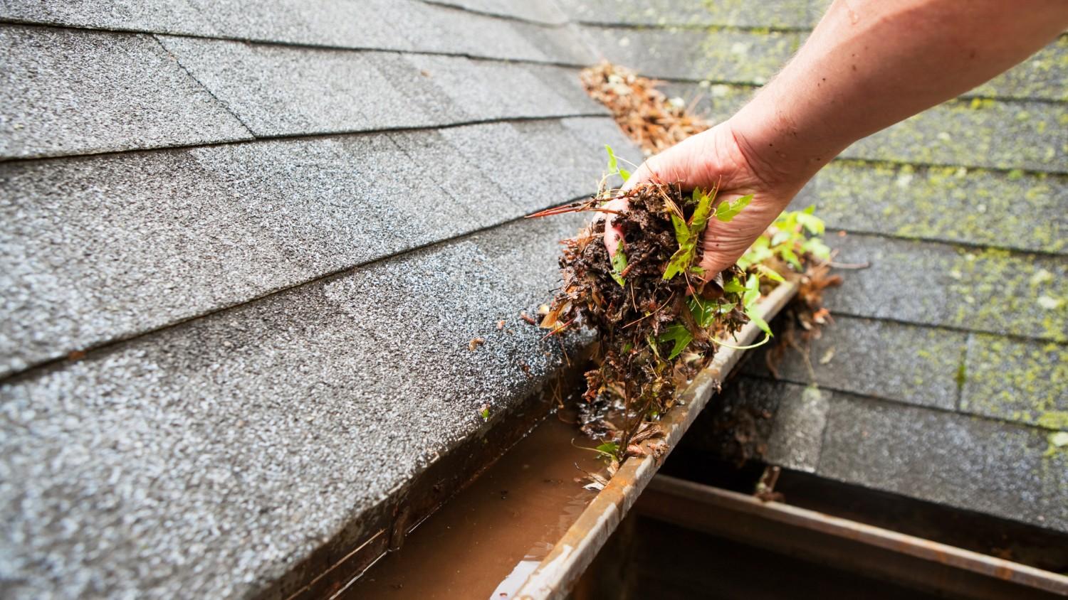 The Consequences of Not Cleaning Your Gutters!