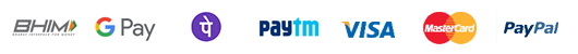 Buy Aquarium Accessories & Decor Products Online