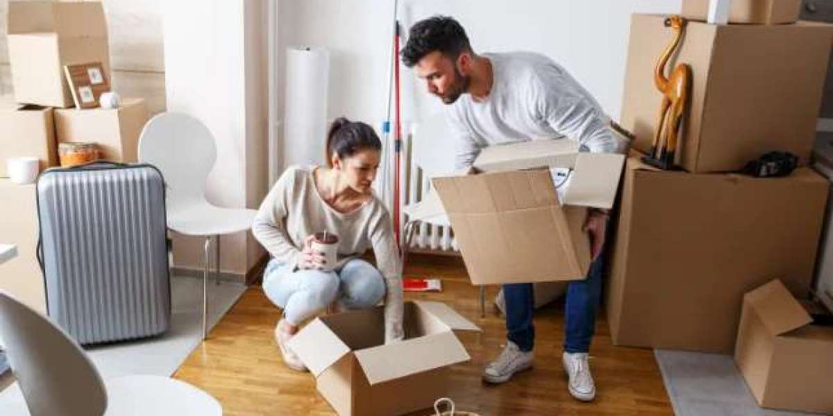 Reliable Waste Removal Services in Saskatoon for Clean Spaces Today