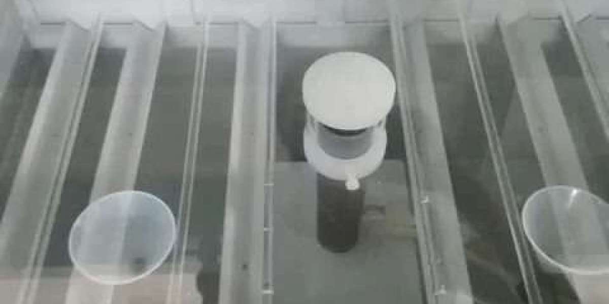 Salt Test Strips Industry Research & Trends Analysis Report