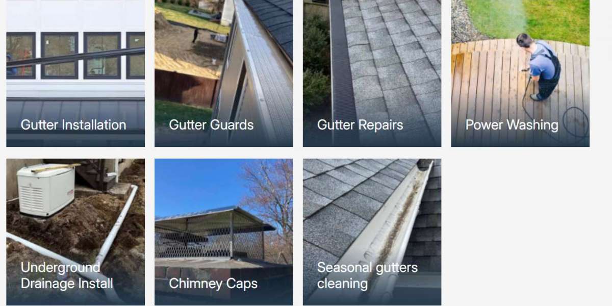 The Unseen Guardian: Why Your Gutters Deserve Elite Attention