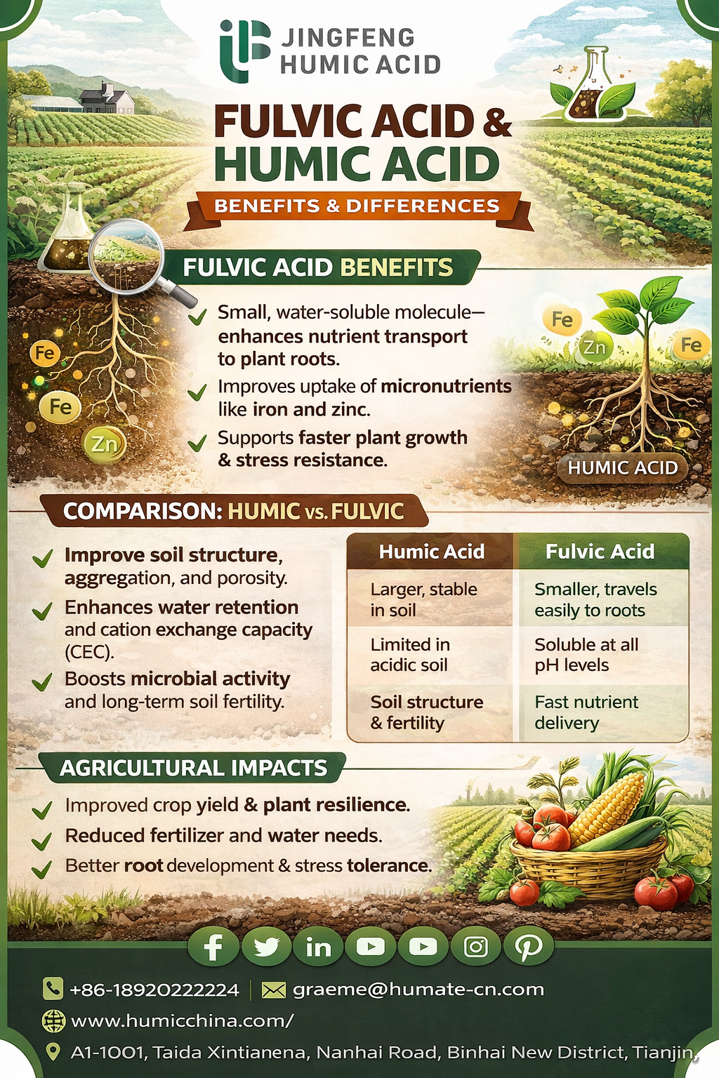 Fulvic Acid vs Humic Acid Benefits & Differences Guide - Gifyu