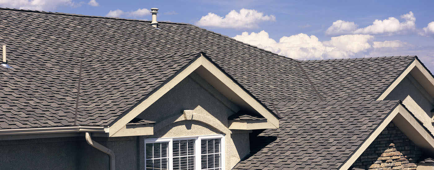 Letitia Hanke: From Music to Mission at ARS Roofing