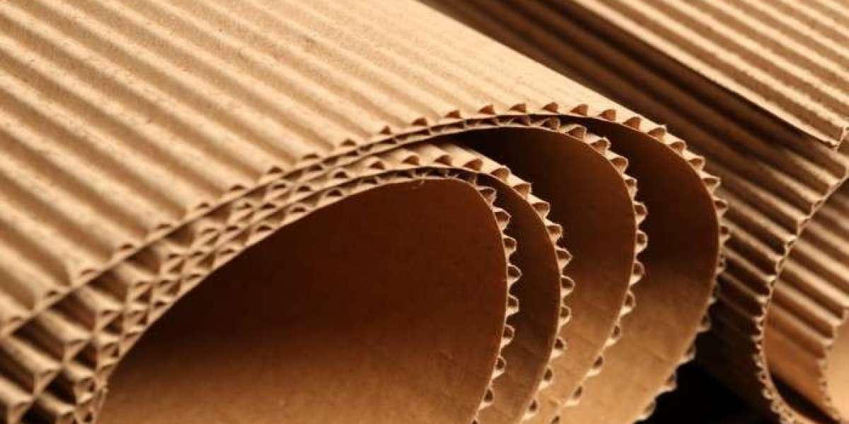 Multilayer Flexible Packaging Market 2026 Assessment and Key Insights Analyzed Till 2036