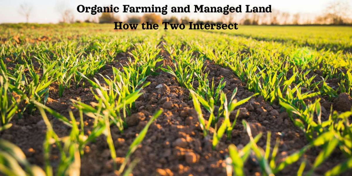 Organic Farming and Managed Land: How the Two Intersect