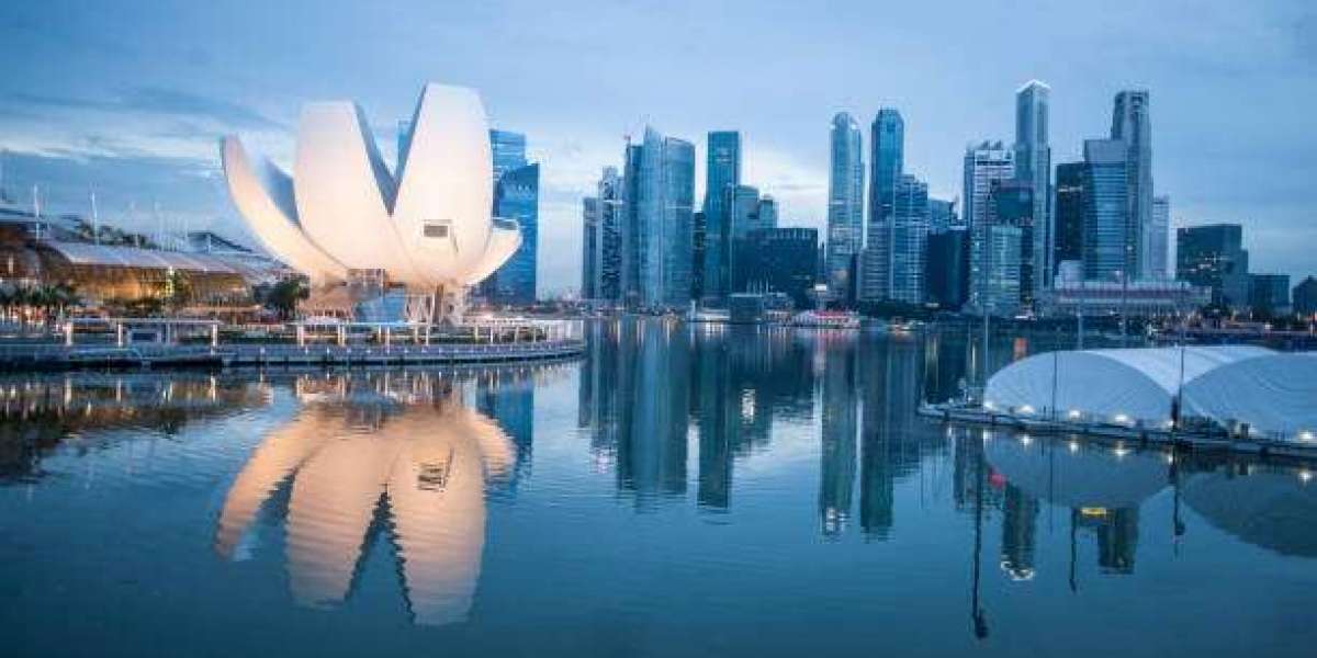 Common Reasons for Singapore Visa Rejection And How to Avoid Them