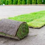 Artificial Grass for Lawns Addison