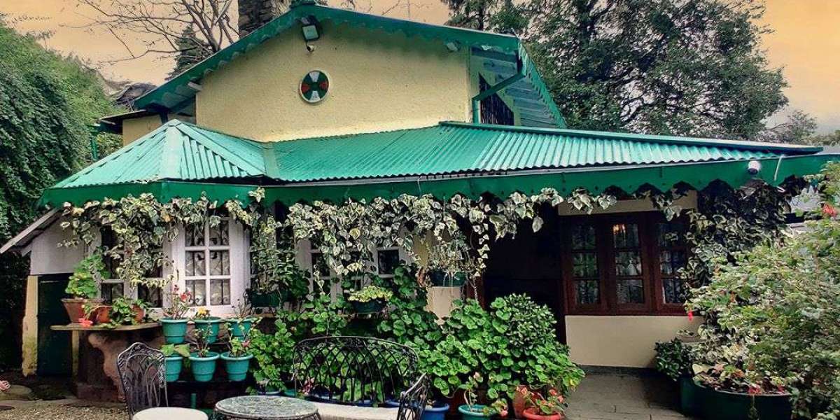 Choosing a Pet-Friendly Homestay in Nainital by Rosastays: A Haven for You and Your Furry Friend