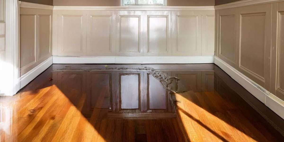 How to Find the Best Emergency Water Damage Restoration Company New Orleans, LA?