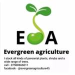 Evergreen Agriculture