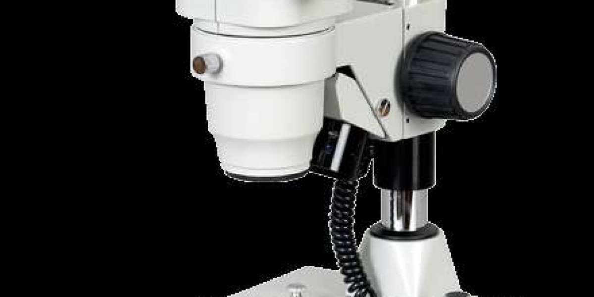 Why Every Lab Should Invest in a Stereo Zoom Microscope in 2026