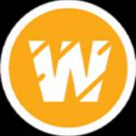 Wildnet Marketing Agency