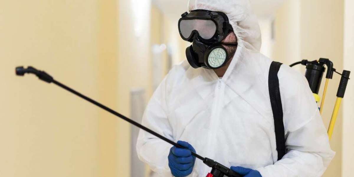 Safe and Effective Pest Control Methods Used in Gold Coast