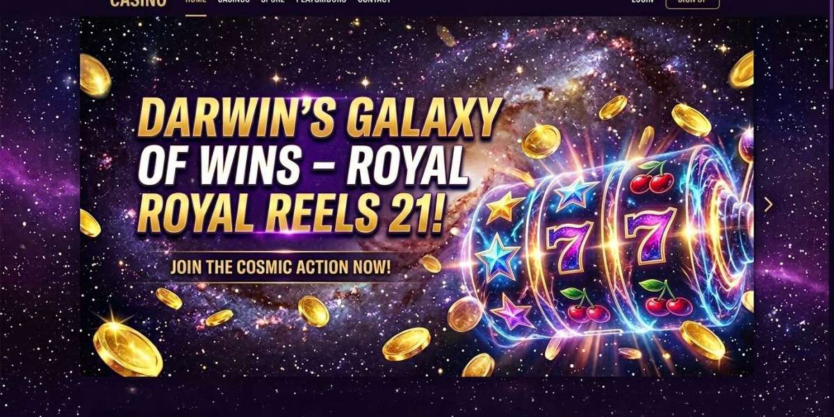 How I Accidentally Became a Casino Pro in Warrnambool