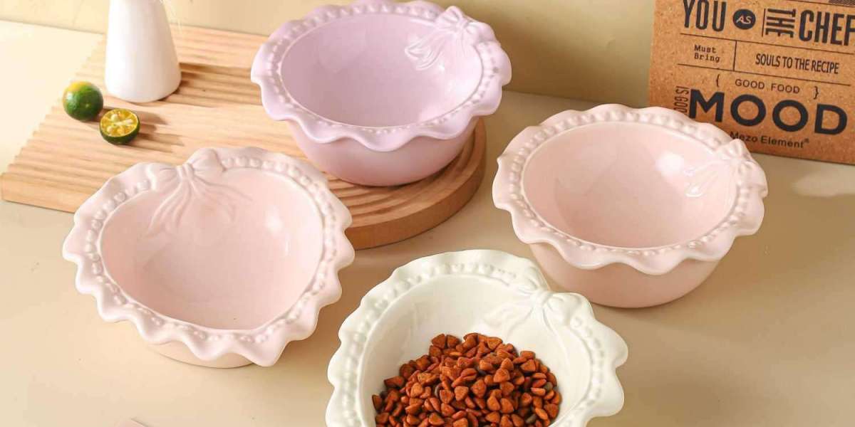 Why Ceramic Slow Feeder Dog Bowls Are a Smart Choice for Pets