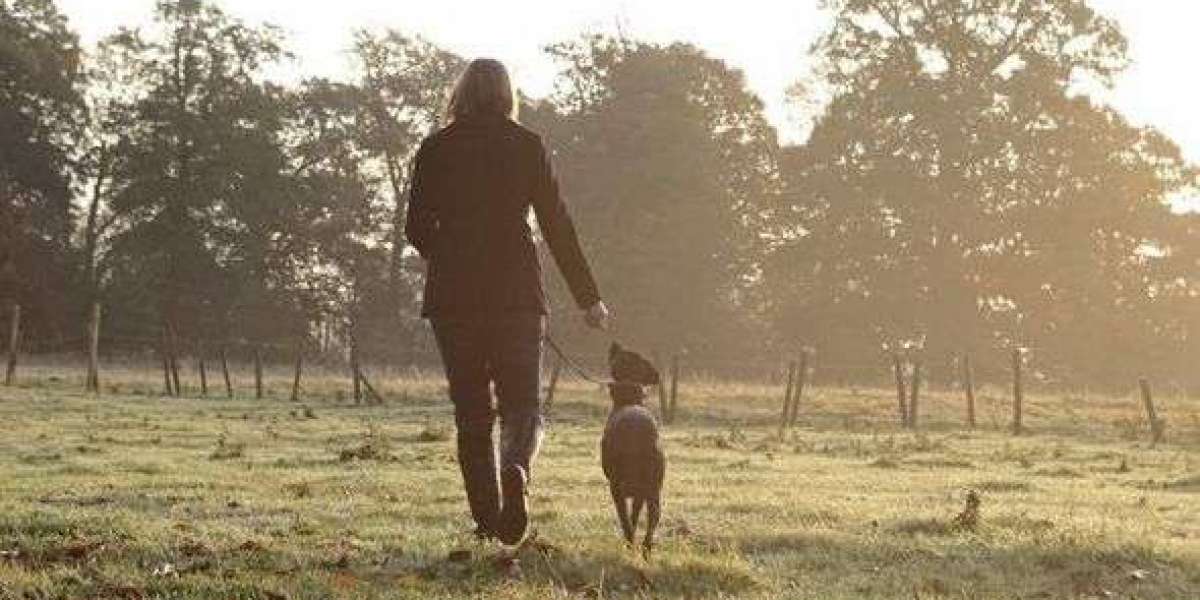 How to Hire Affordable Dog Walkers New Orleans Without Compromising Quality?