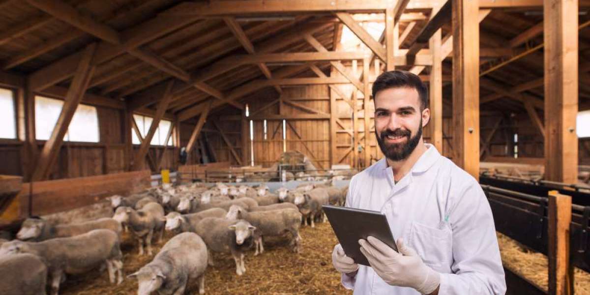 Best Biosecurity Practices for Poultry Farms