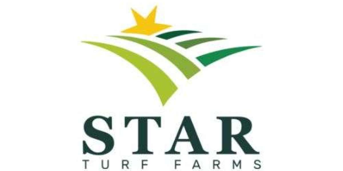 Summer Care Tips for Your Bermuda Grass Lawn