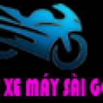 thuexemaysg