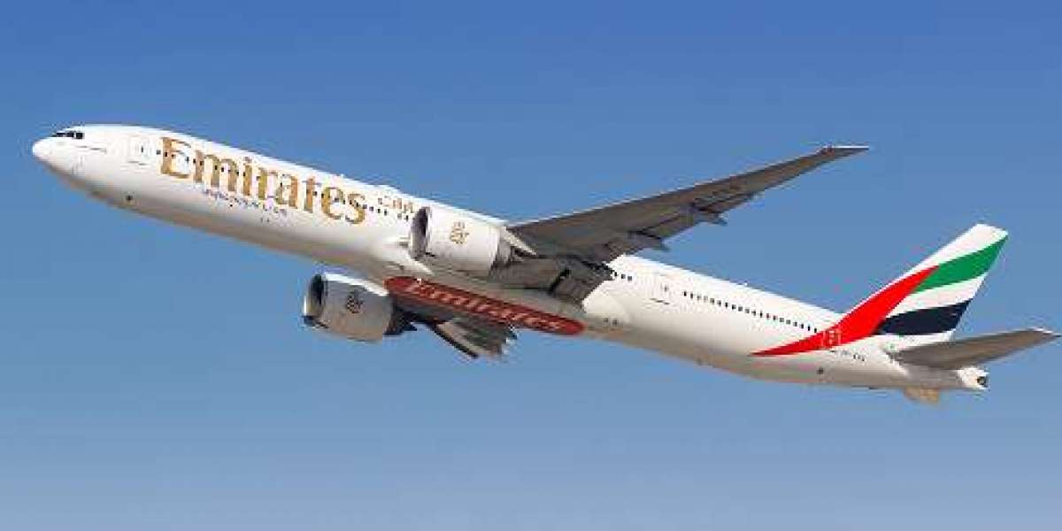 Efficient Global Transit Planning for New York to Delhi Flight