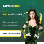 dmlotus365