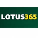 lotussdddu lotussdddu