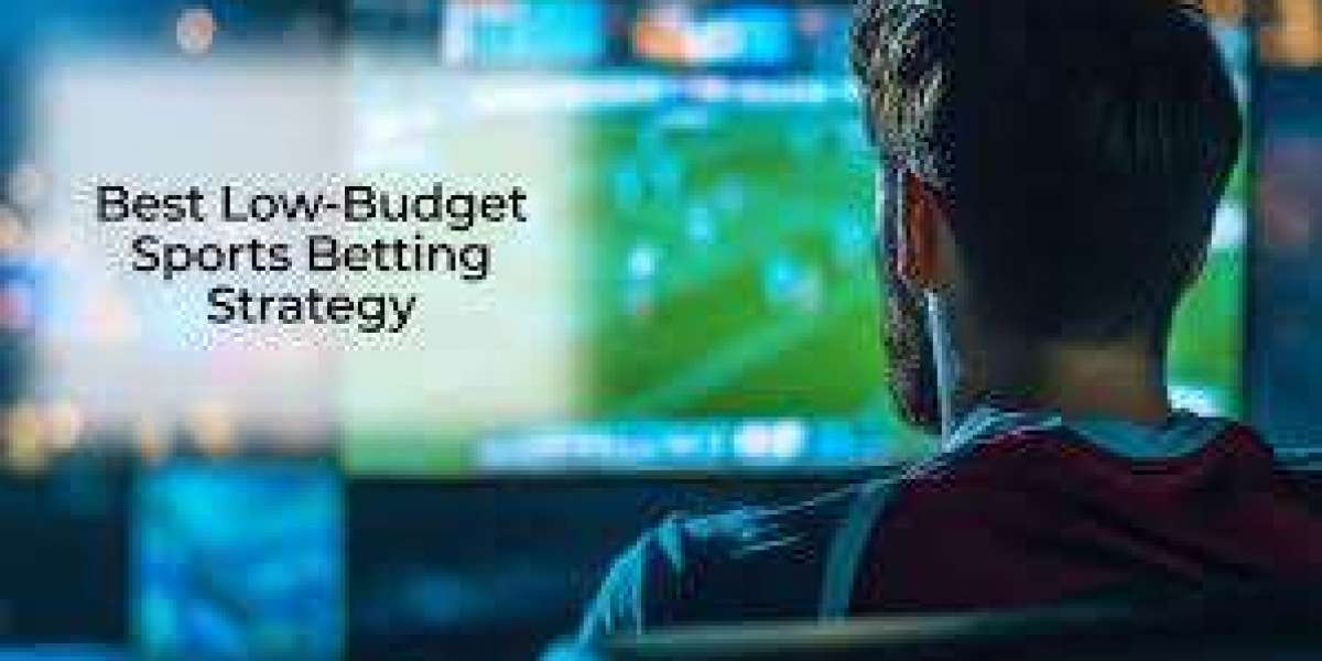 Can you bet with a Small Budget – My Real Results and Lessons