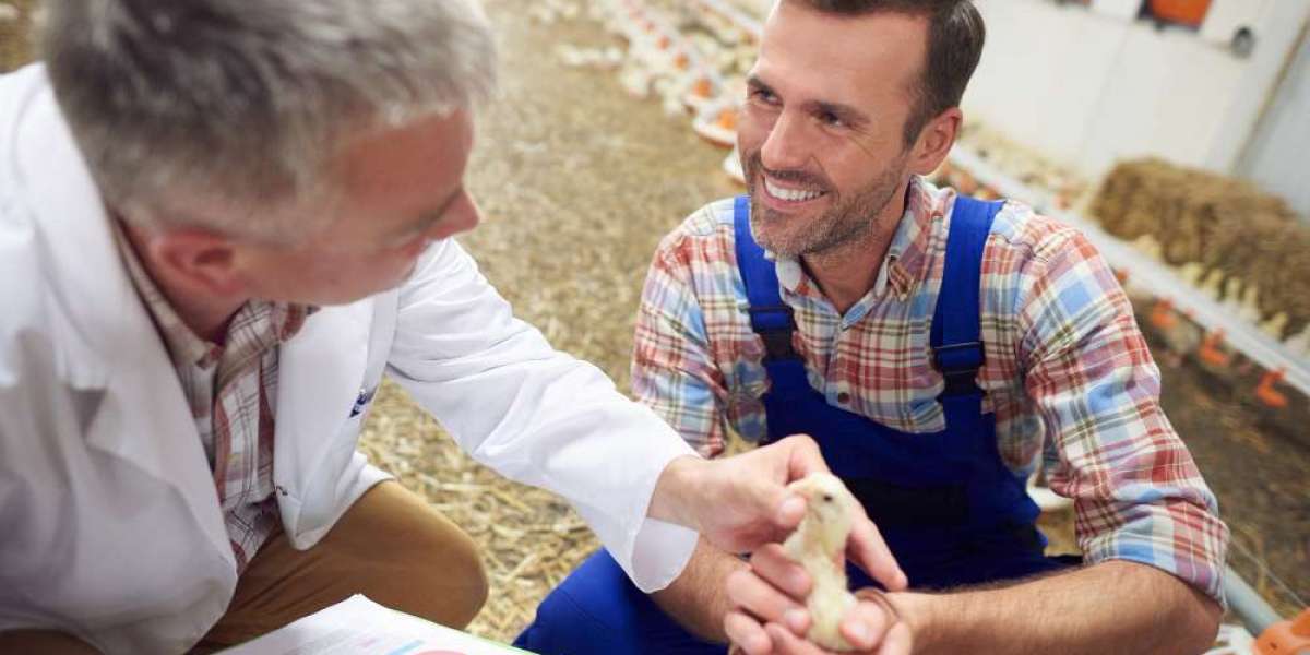 Essential Equipment Every Poultry Farm Needs
