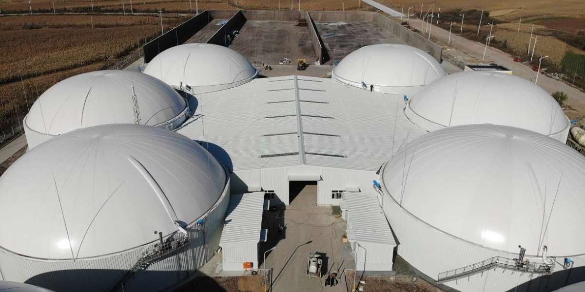 Double Membrane Flexible Gas Holder Industry Research & Trends Analysis Report