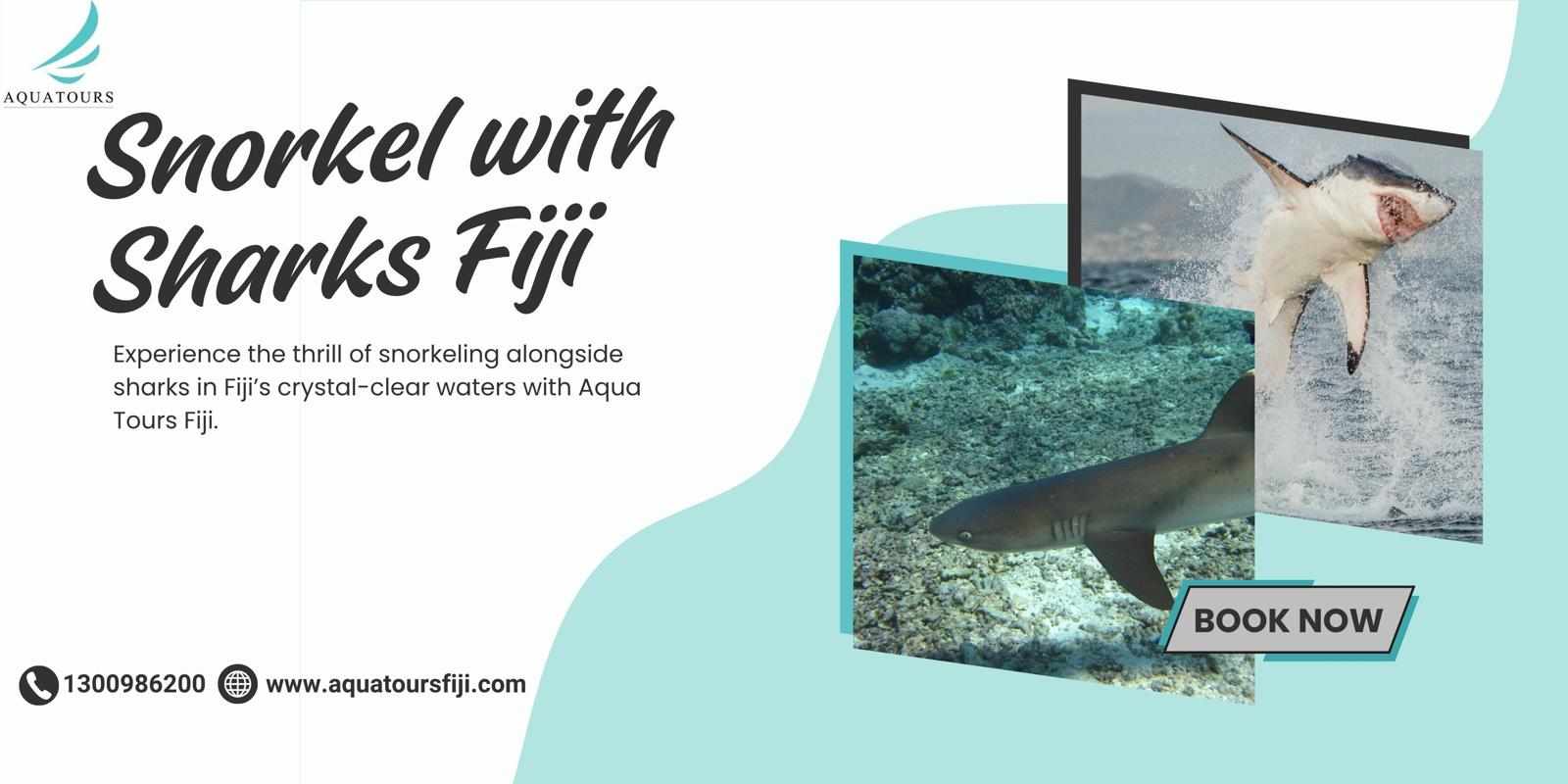 Top Adventure Activities in Fiji: Snorkel with Sharks Fiji by Aqua Tours Fiji