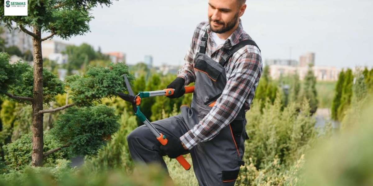 Storm-Damaged Trees in Cumming? Hidden Risks Most Homeowners Ignore