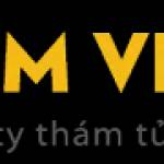 Thám Tử Tư Tâm Việt