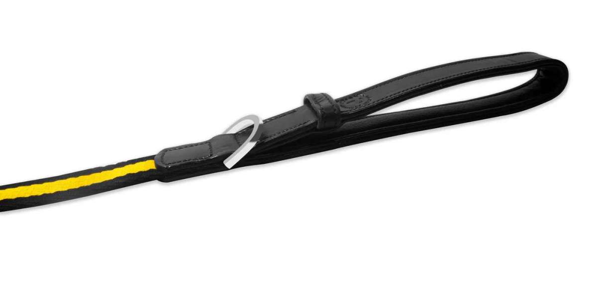 Leather Dog Leashes: A Complete Guide to Style, Strength & Everyday Comfort