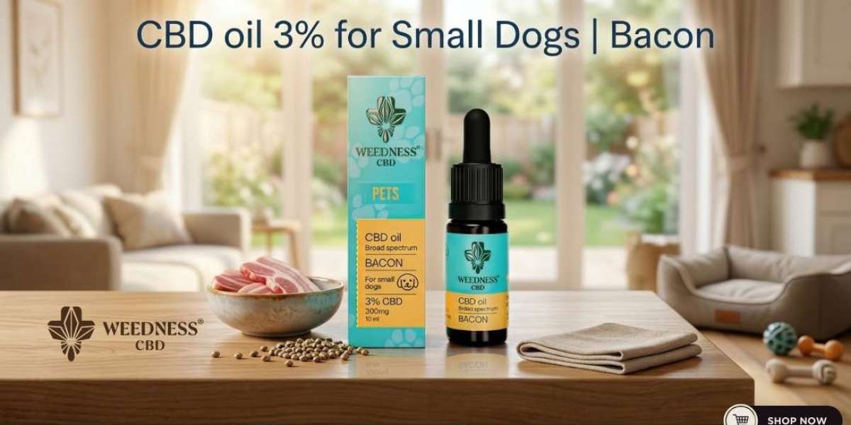 Supporting Your Pet with Premium CBD Oil for Small Dogs